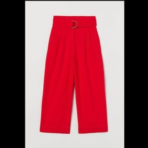 NWOT H&M Wide Belted Paper Bag Pants